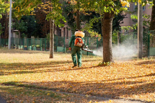 Best Termite Control Services  in China Spring, TX